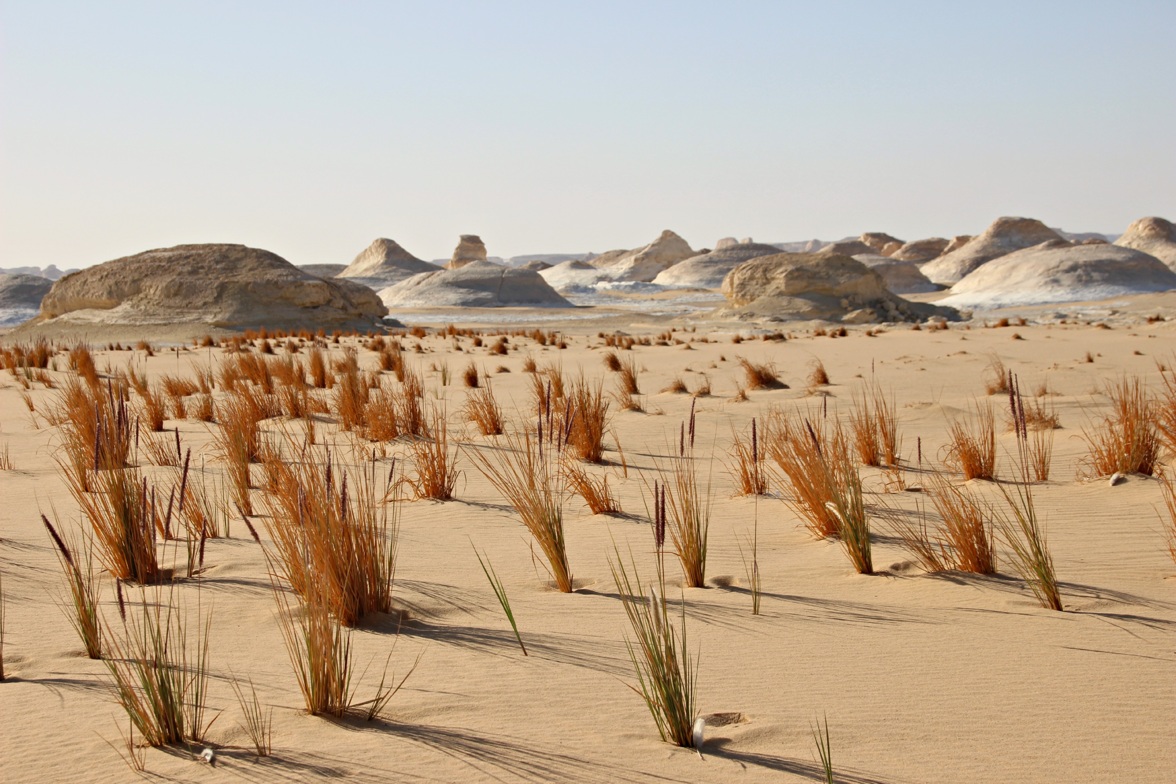 Какая природа египта. Пустыни Египта. Древний Египет пустыня. Нитрийская пустыня. Египет Ливийская пустыня.